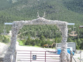 antler arch