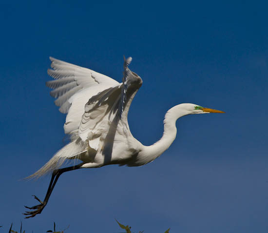 Palo Alto Baylands