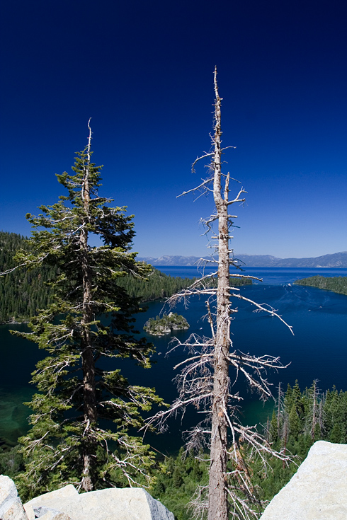 Two Trees Overlooking Emerald Bay || Canon350d/EF17-40/F4L@17 | 1/125s | f9 | ISO200 | handheld