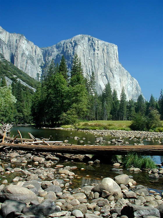 El Capitan, Yosemite Valley II || Olympus D490Z/5.6mm (~40mm 35mm equiv) | 1/400s | f5.6 | ISO100 |handheld