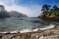 buckhorn_cove_morning.html