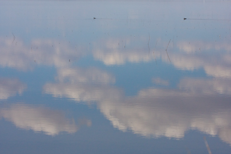 cloud ducks || Canon40d/EF100-400F4-5.6L@100 | 1/4000s   | f8 |  ISO800 | handheld