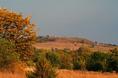 coronado_heights_fall_view.html