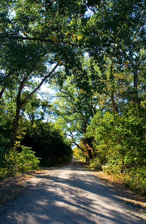 Country Lane || Canon350d/EF17-55/F2.8EFS@17 | 1/160s | f6.3 |  IS400 | handheld