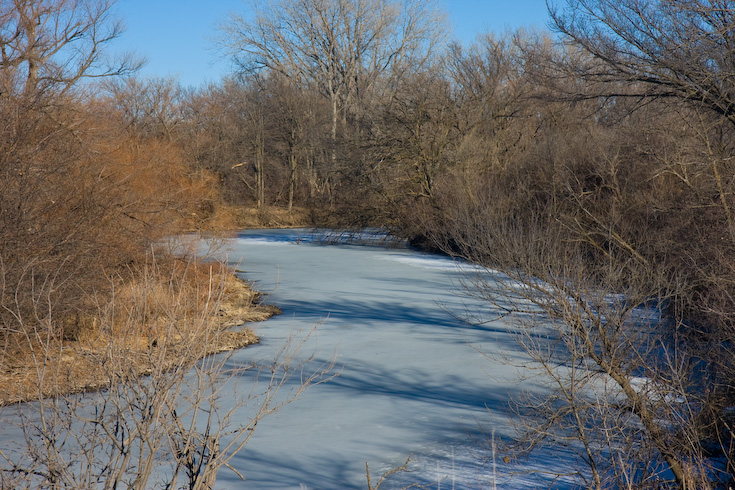 Crystal River || Canon40d/EF17-55/F2.8EFS@55 | 1/500s | f5.6 |  ISO200 | handheld