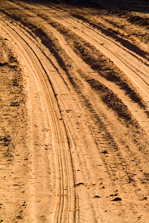 Down the Road || Canon350d/EF70-200/F4L@200 | 1/500s | f13 | ISO400 | handheld