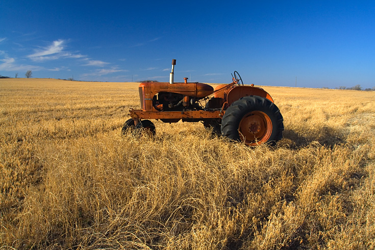 Red Tractor, Golden Field|| Canon350d/EF17-40/F4L@17| 1/80s | f13 | ISO200 |handheld