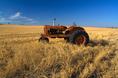 red_tractor_golden_field.html