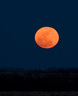 full_moon_rising.html