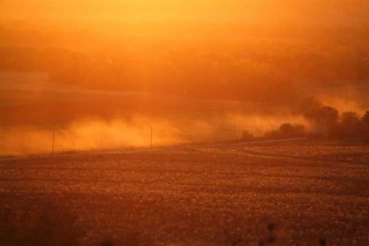 Golden Road || Canon350d/EF70-200/F4L@200 | 1/250s | f4.0 | ISO400 |handheld