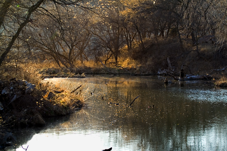 River Gold || Canon350d/EF70-200/F4L@70 | 1/200s | f4.5| ISO200 | handheld