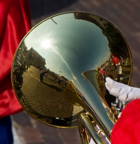 Reflecting Horn || Canon40d/EF17-55/F2.8EFS@55 | 1/2000s | f5 |  IS200 | handheld