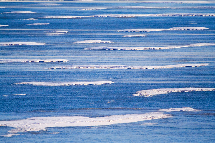 Frozen Kanopolis || Canon350d/EF100-400F4-5.6L@400 | 1/3200s | f5.6 |  ISO400 | handheld