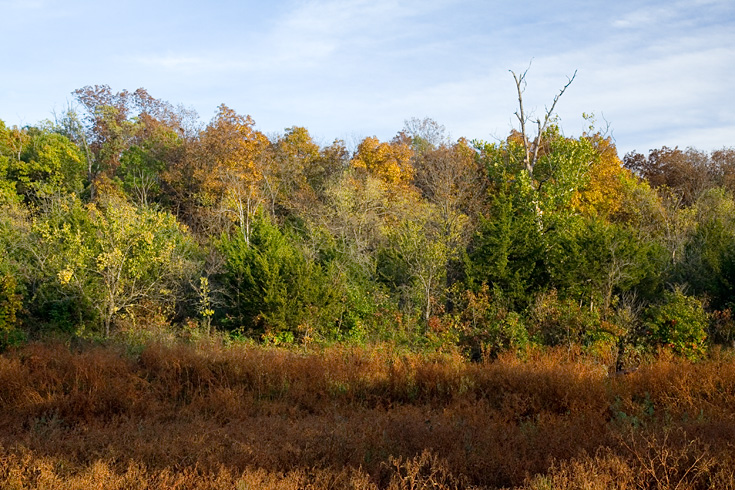 Kansas Fall View || Canon350d/EF17-55/F2.8EFS@28 | 1/50s | f7.1 |  IS200 | handheld