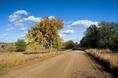 kansas_fall_road.html