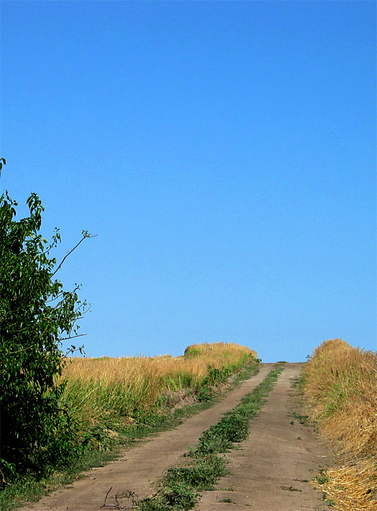 Lonely Kansas Road | Canon Powershot G3/20.7mm (~100mm 35mm equiv) | 1/800s | f5.6 | ISO100? | handheld