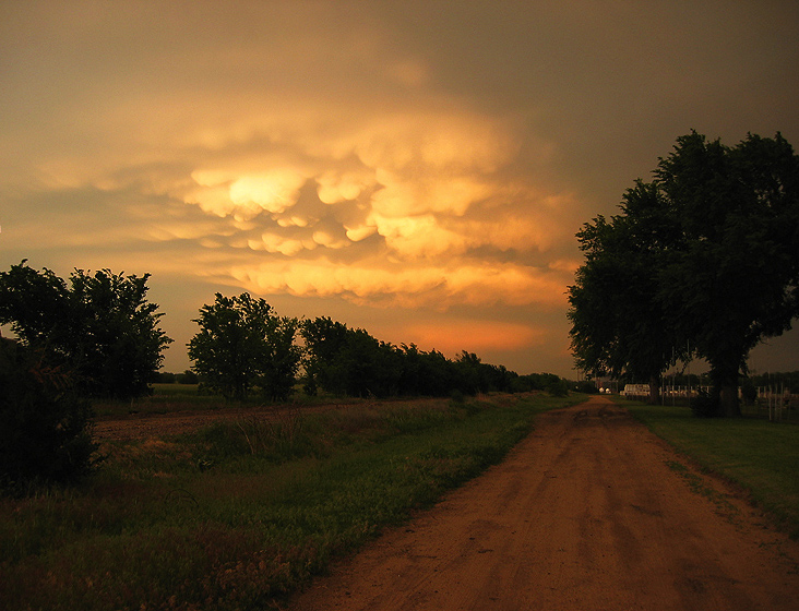 Moody Skies || Canon S45/7.1mm (35mm 35mm equiv) | 1/125s | f2.8 | ISOunk |handheld