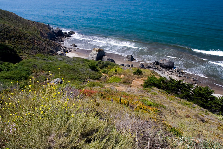 Marin Flowers and Coast || Canon350d/EF17-40/F4L@17 | 1/160s | f8| ISO200 | handheld