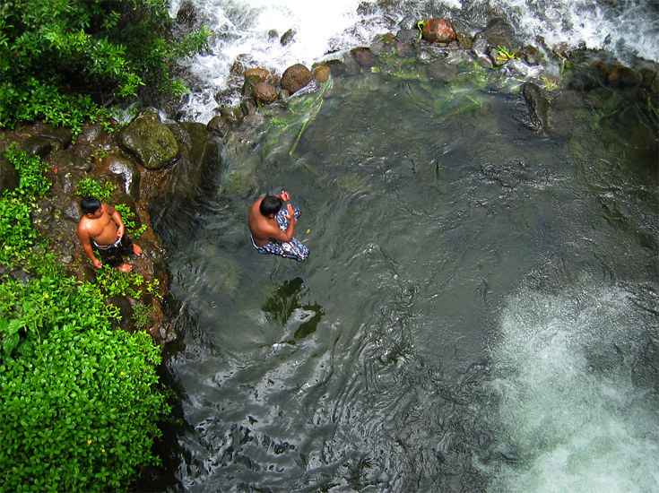 Maui Splash | Canon Powershot S45/7.1mm (~36mm 35mm equiv) | 1/500s | f2.8 | ISO100? | handheld