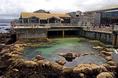 monterey_bay_aquarium.html