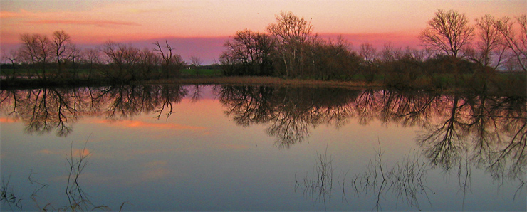 Mirror Pond|| Canon Powershot S45/7.1mm (~36mm 35mm equiv) | 1/125s | f2.8 | ISO100? |handheld