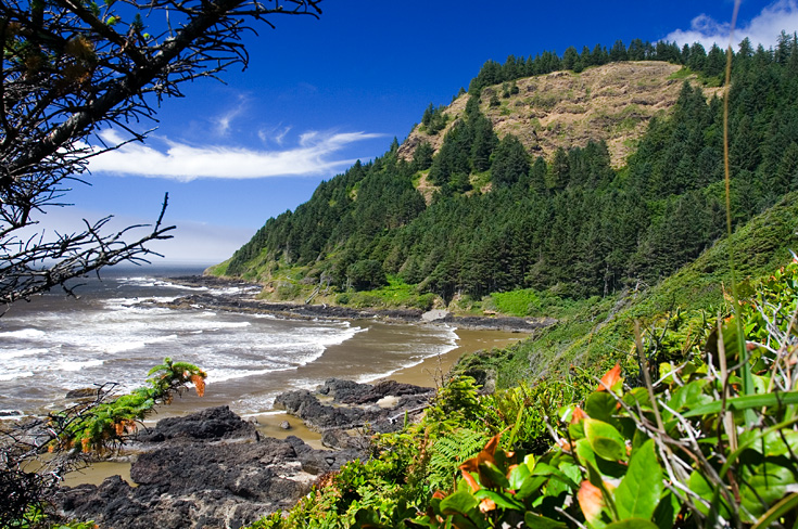 Oregon Coast || Canon350d/EF17-40/F4L@17 | 1/100s | f8| ISO200 | handheld