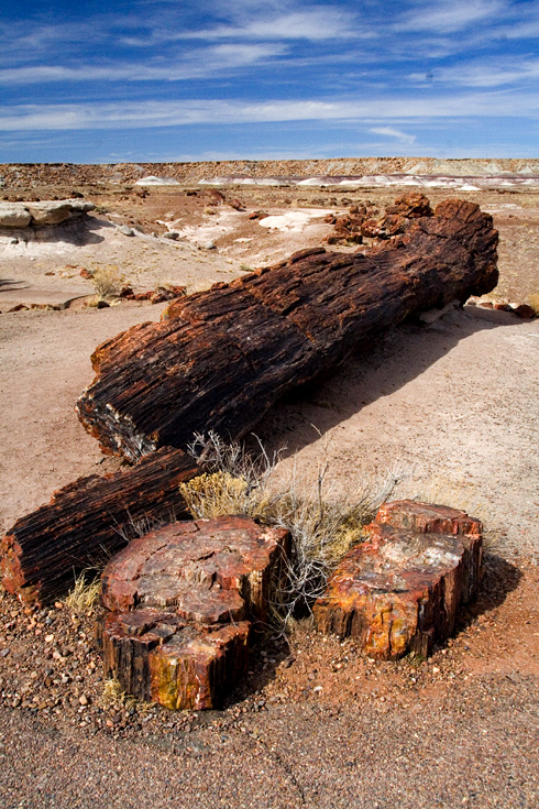 Petrified Logs || Canon350d/EF17-40/F4L@17 | 1/160s | f20 | ISO400 | handheld