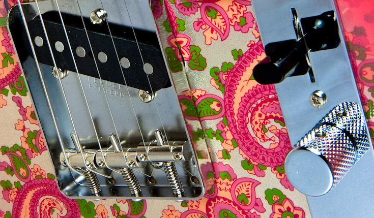 Pink Paisley Tele Up Close || Canon40d/EF17-55/F2.8EFS@38 | 1/8s | f16 |  ISO100 | tripod