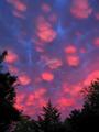 pink_mammatus_clouds.html