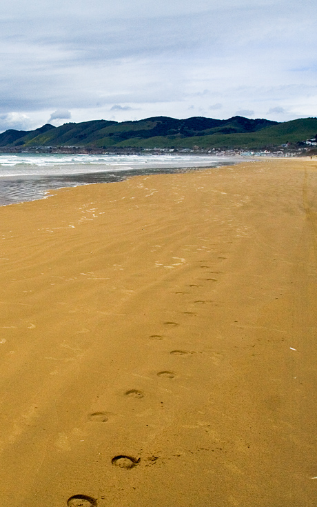 Pismo Beach View || Canon350d/EF17-40/F4L@17 | 1/500s | f9 | ISO200 | handheld