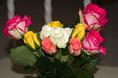 colorful_roses.html