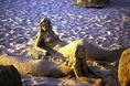 sand_sculptures.html