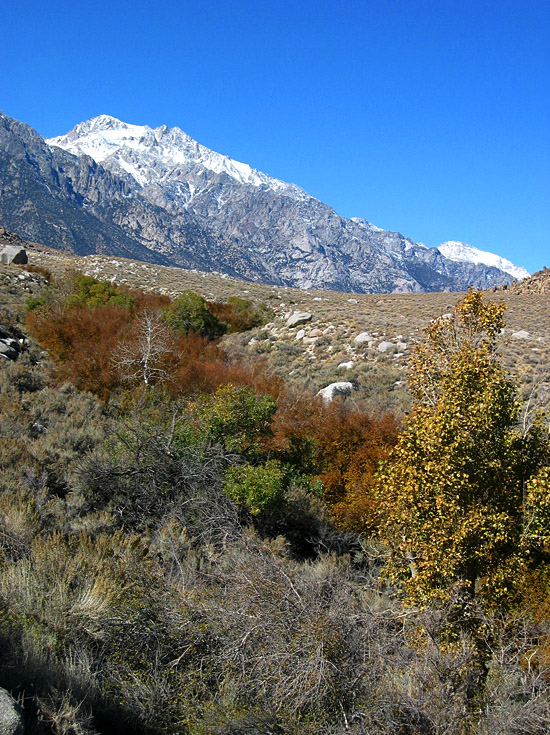 Sierra Fall | Canon Powershot S45/7.1mm (~35mm 35mm equiv) | 1/1000s | f4.5 | ISO100? | handheld