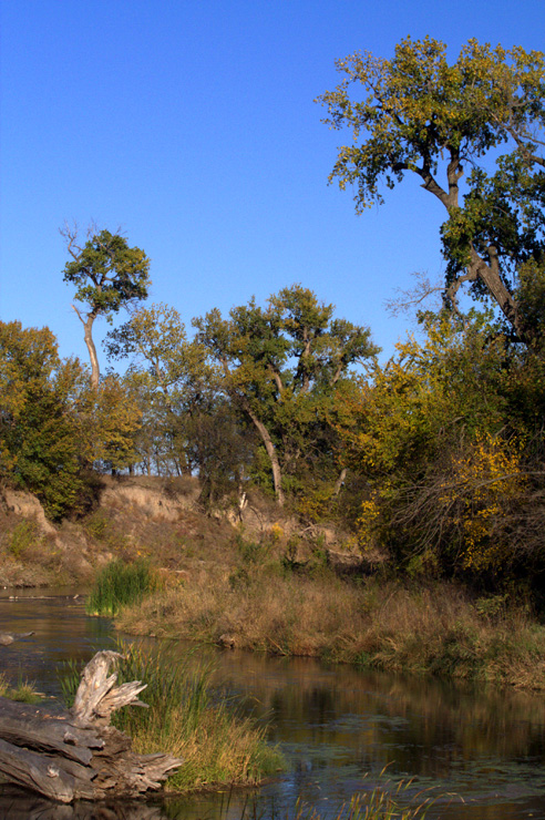 Cottonwoods on the Smoky || Canon 350d/EF70-200mm/F4L@70| 1/800s | f10 | ISO800 |handheld