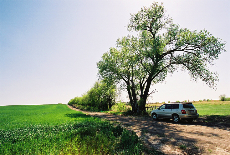 Spring Wheat || CanonElanIIe/EF17-40/F4L@17 | unk | unk | ISO400 | handheld