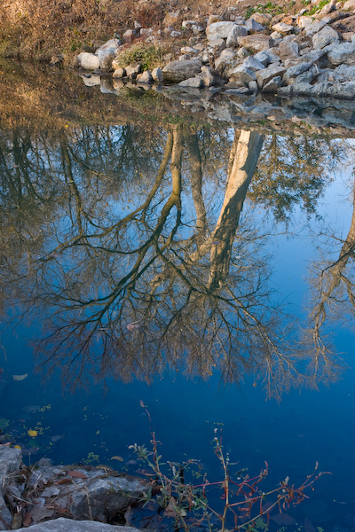 Still Water || Canon40d/EF17-55/F2.8EFS@23 | 1/25s | f7.1 |  ISO200 | handheld