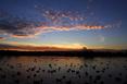 duck_pond_sunset.html