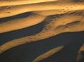 desert_tracks.html