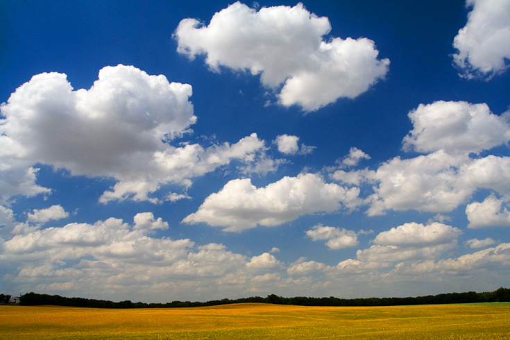 Wheat and Clouds II || Canon350d/EF17-40/F4L@17 | 1/320s | f11 | ISO200 | handheld