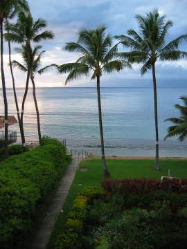 view from the lanai