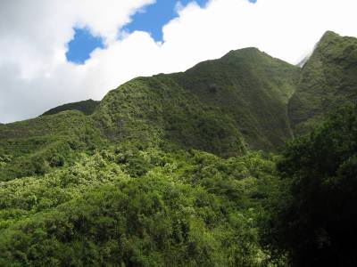 Iao Valley peak