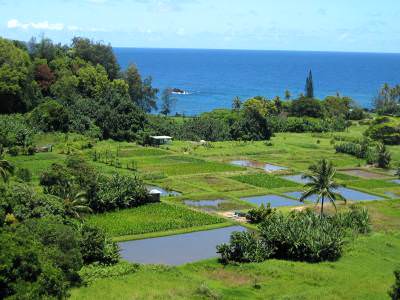 Keanae peninsula, distant view