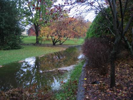 Cow Creek looking south