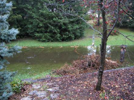 Cow Creek looking east