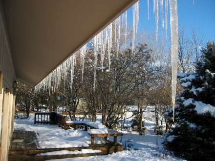 icicles