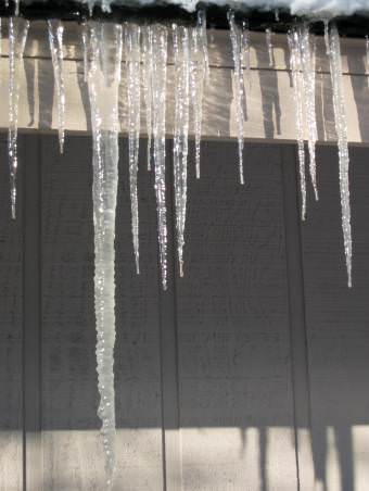 icicles