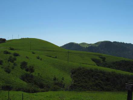 Skyline meadow