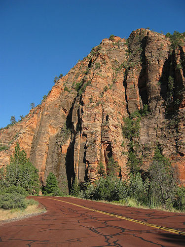 Mt. Zion NP