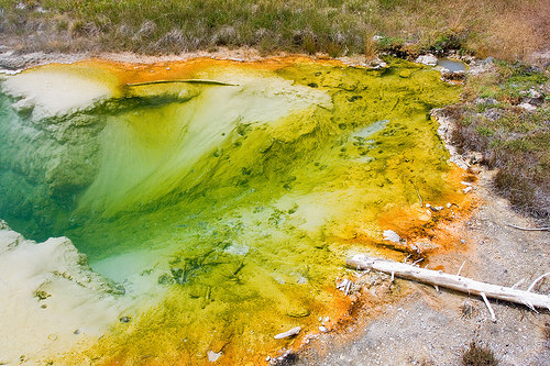 Yellowstone Hot Springs