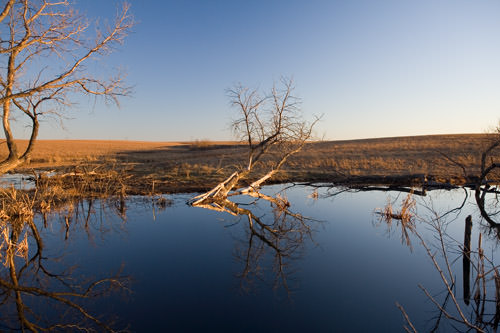 Kansas fall